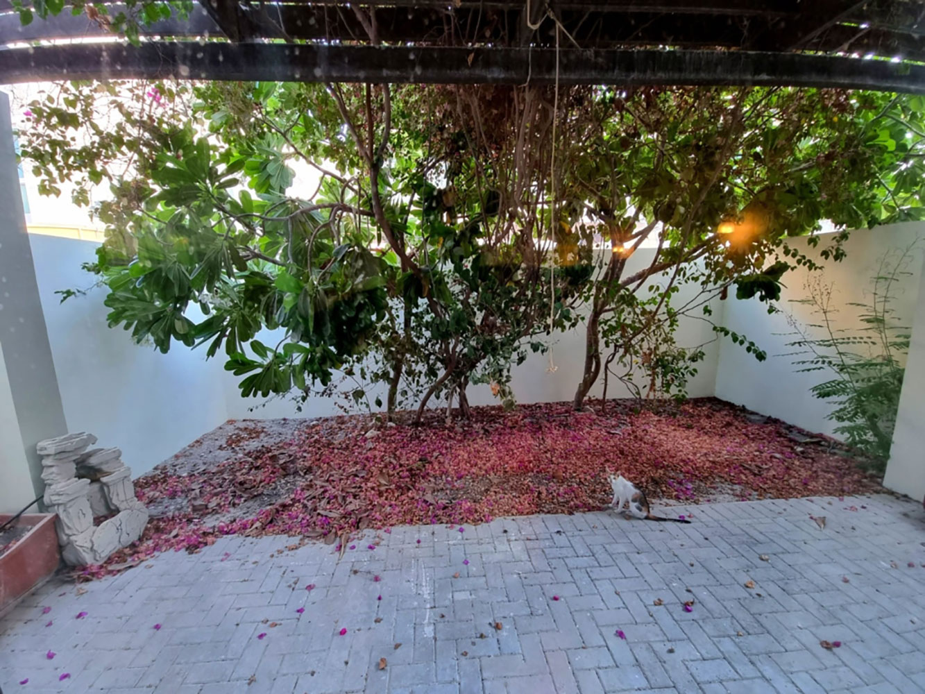 صورة فيلا للإيجار في جزر امواج #5009 0