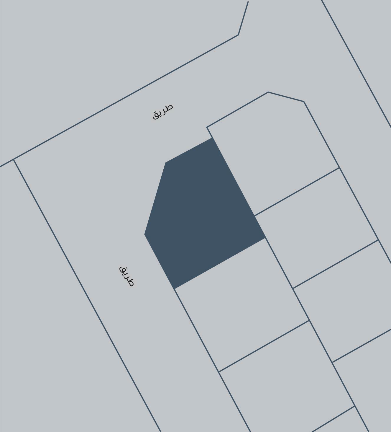 صورة أرض للبيع في الهملة #2014 0