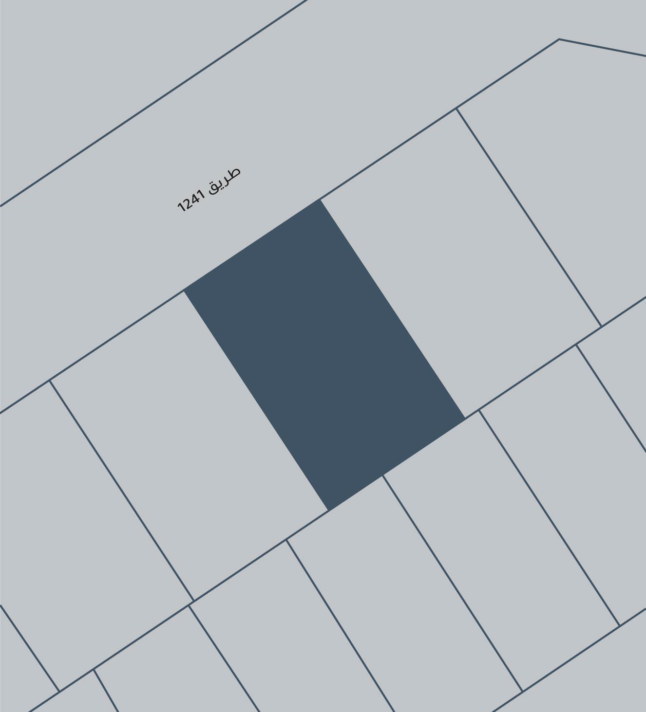 صورة أرض للبيع في الهملة #2484 0 