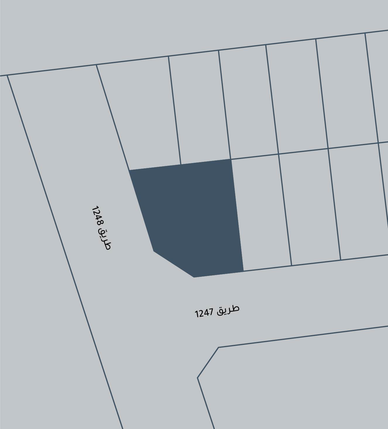 صورة أرض للبيع في الهملة #4381 0