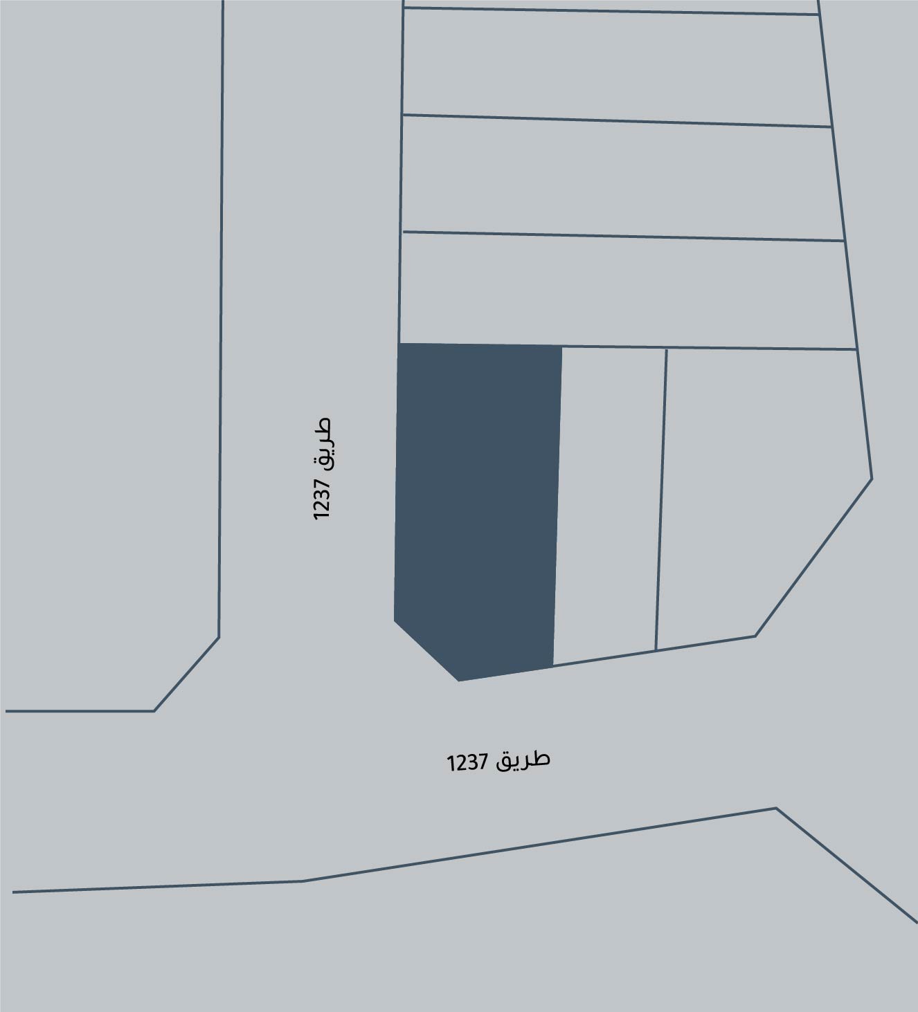 صورة أرض للبيع في الهملة #5404 0