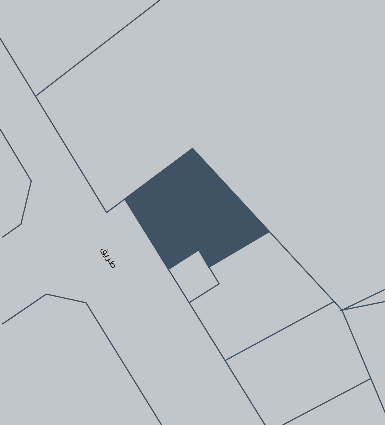 صورة أرض للبيع في الديه #6253 0