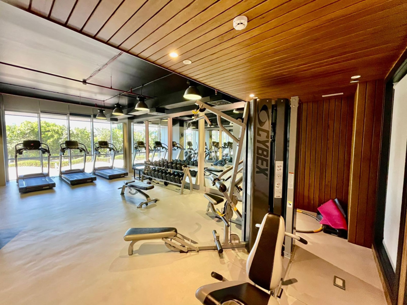 صورة شقة للإيجار في جزيرة الريف #3051 1