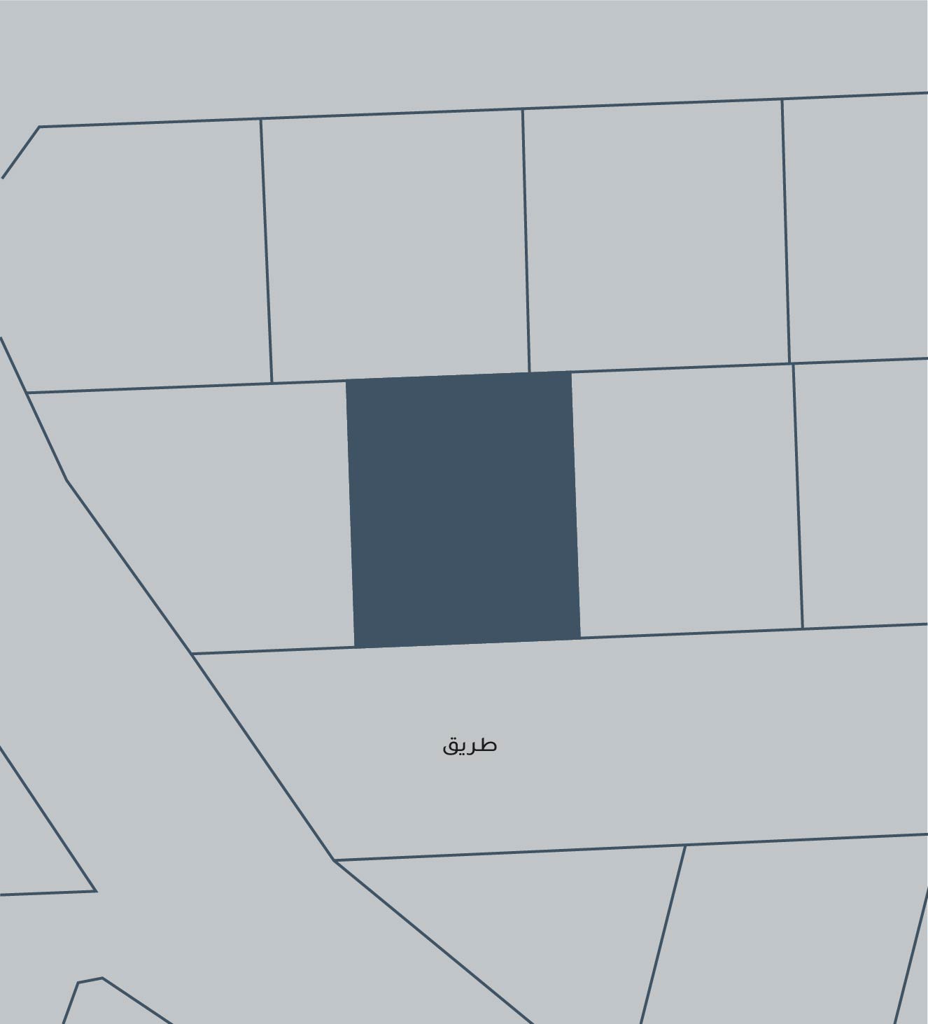 صورة أرض للبيع في الديه #3348 0