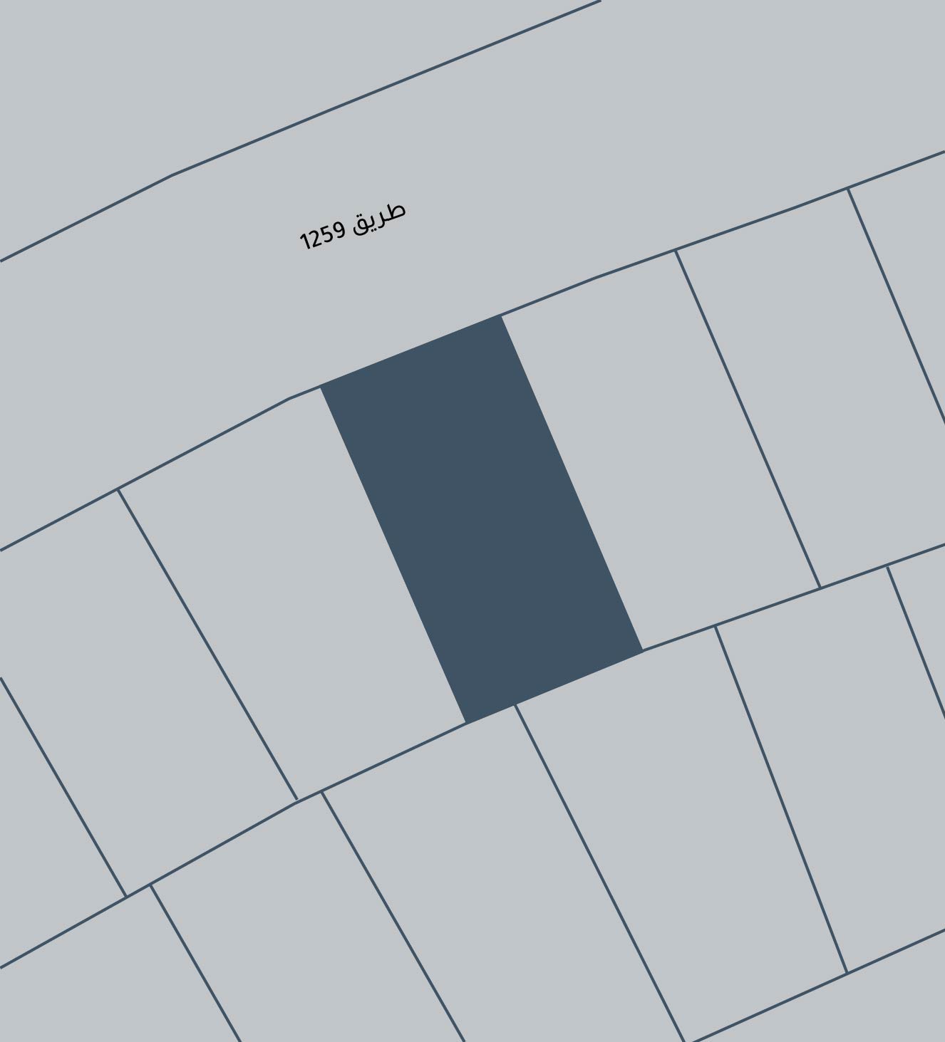 صورة أرض للبيع في الهملة #3897 0