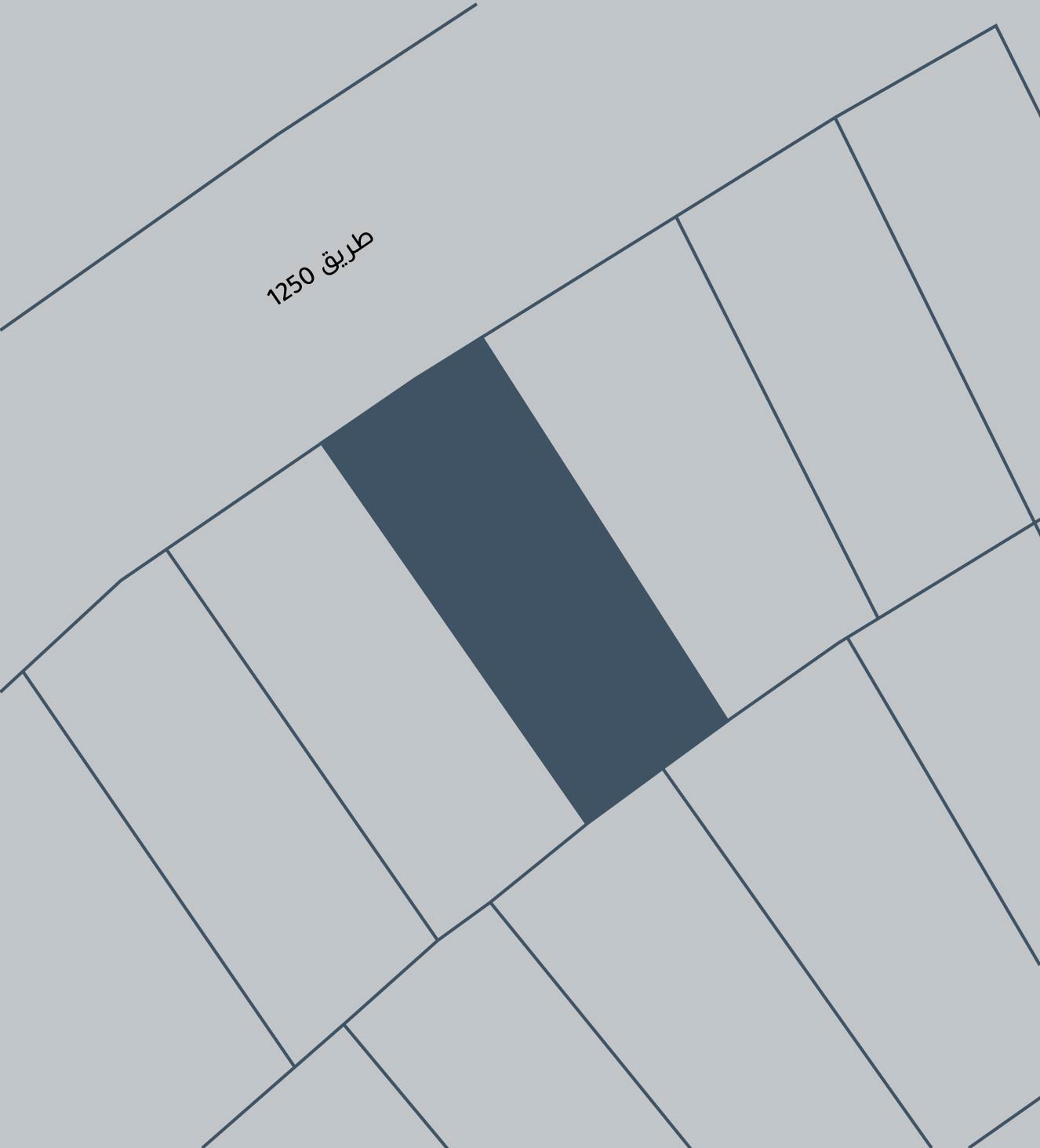 صورة أرض للبيع في الهملة #5769 0