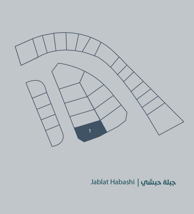 صورة أرض للبيع في جبلة حبشي #6897 1