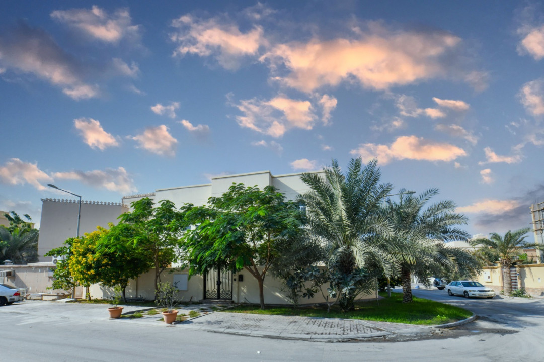 صورة فيلا للبيع في جبلة حبشي #10024 6