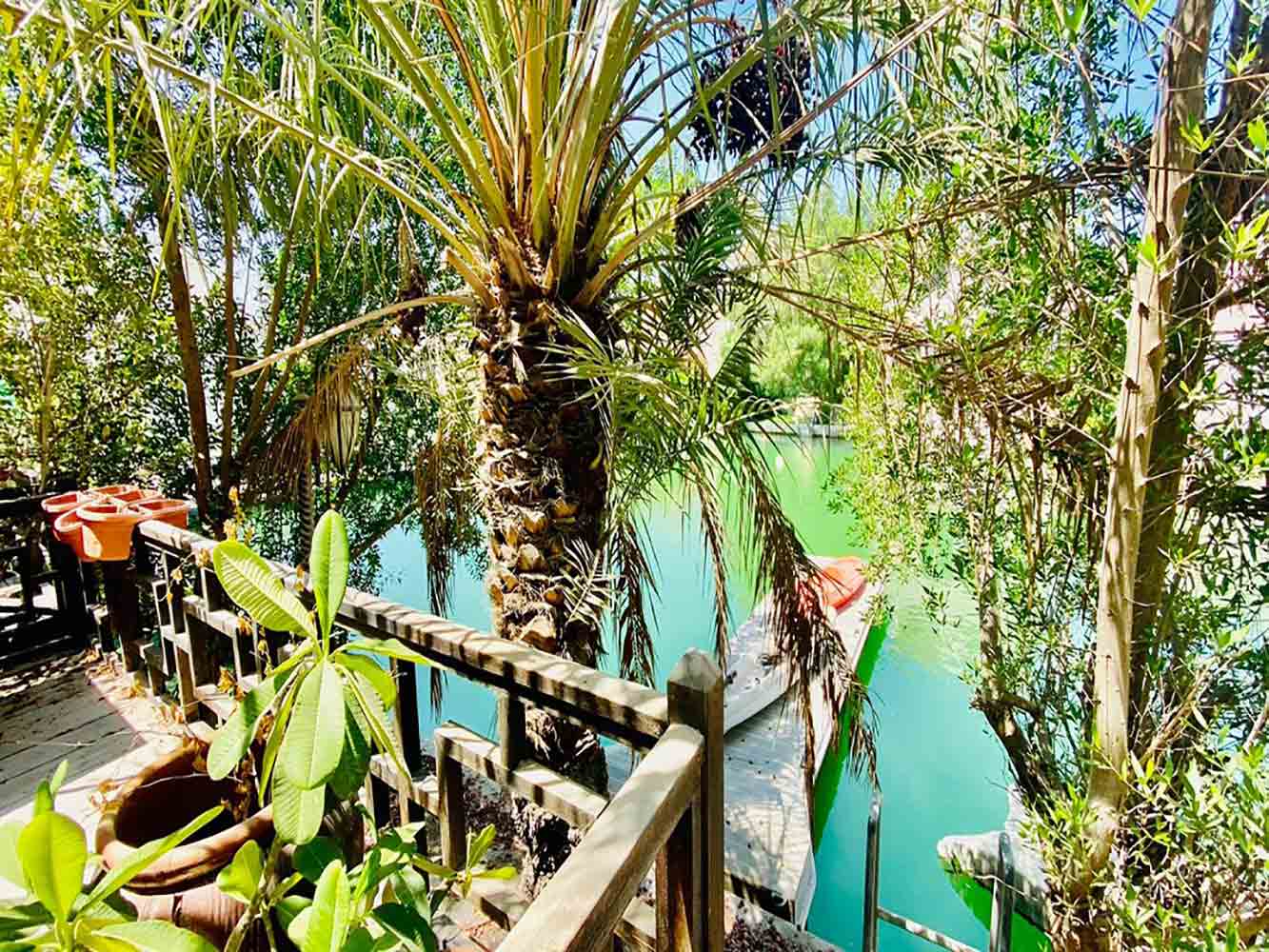 صورة فيلا للبيع في جزر امواج #4365 4