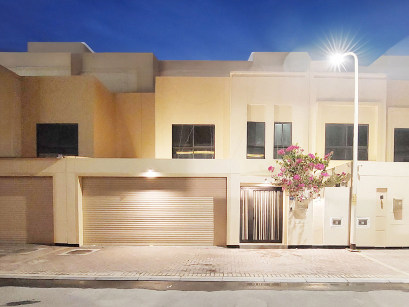 صورة فيلا للبيع في جنوسان #3708 0 