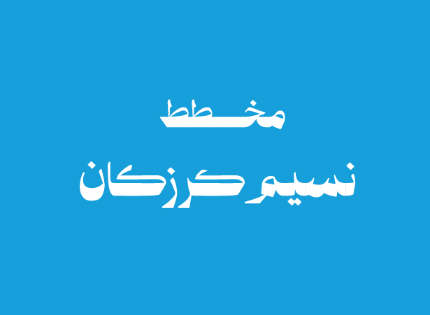 NASEEM KARZAKAN PLOT Logo