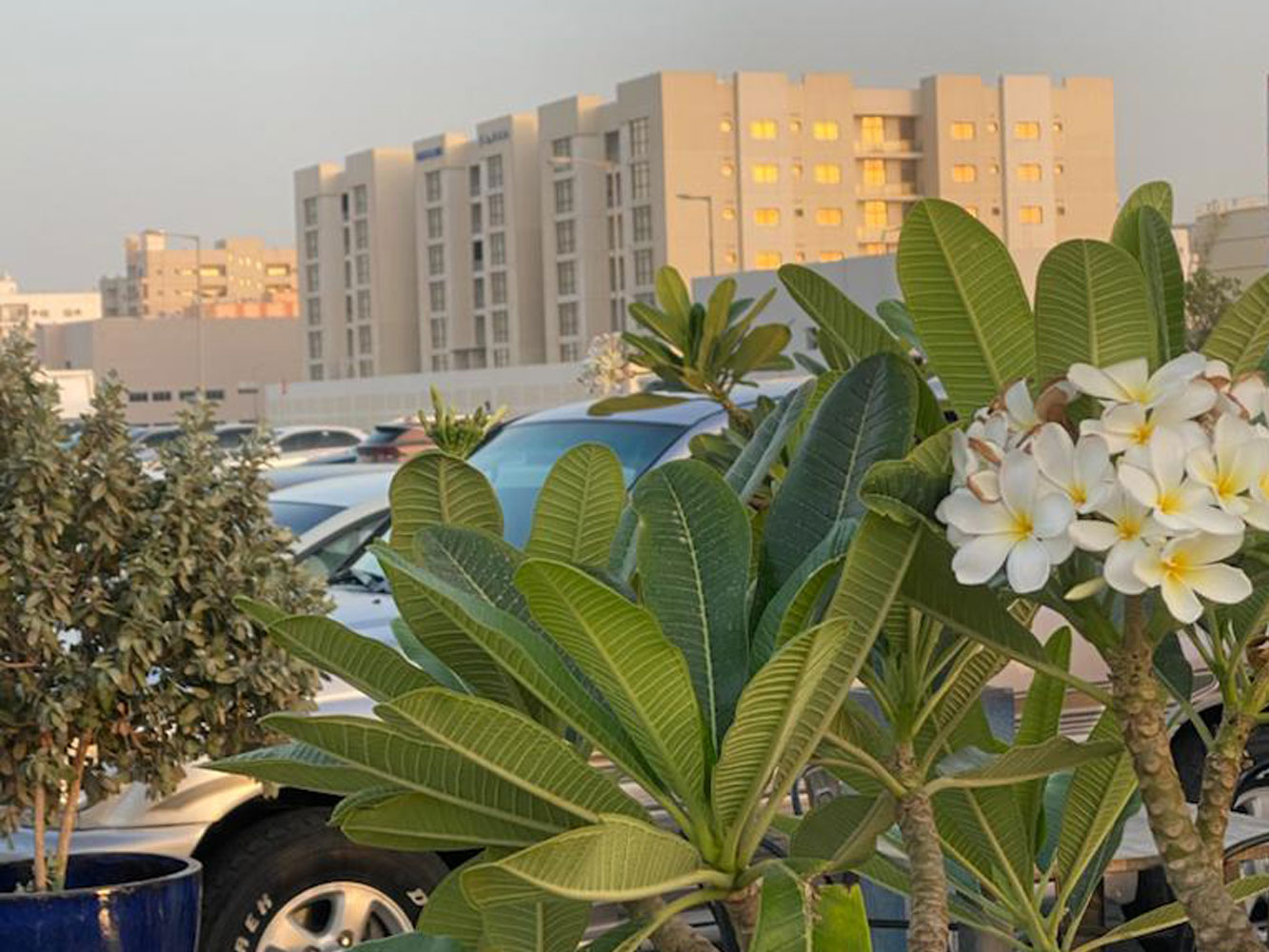 صورة شقة للبيع في الرفاع الشمالي #1544 6