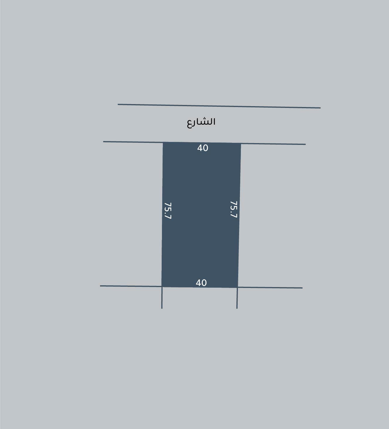 Land for Sale in Ras Zuwaid Image #268 0