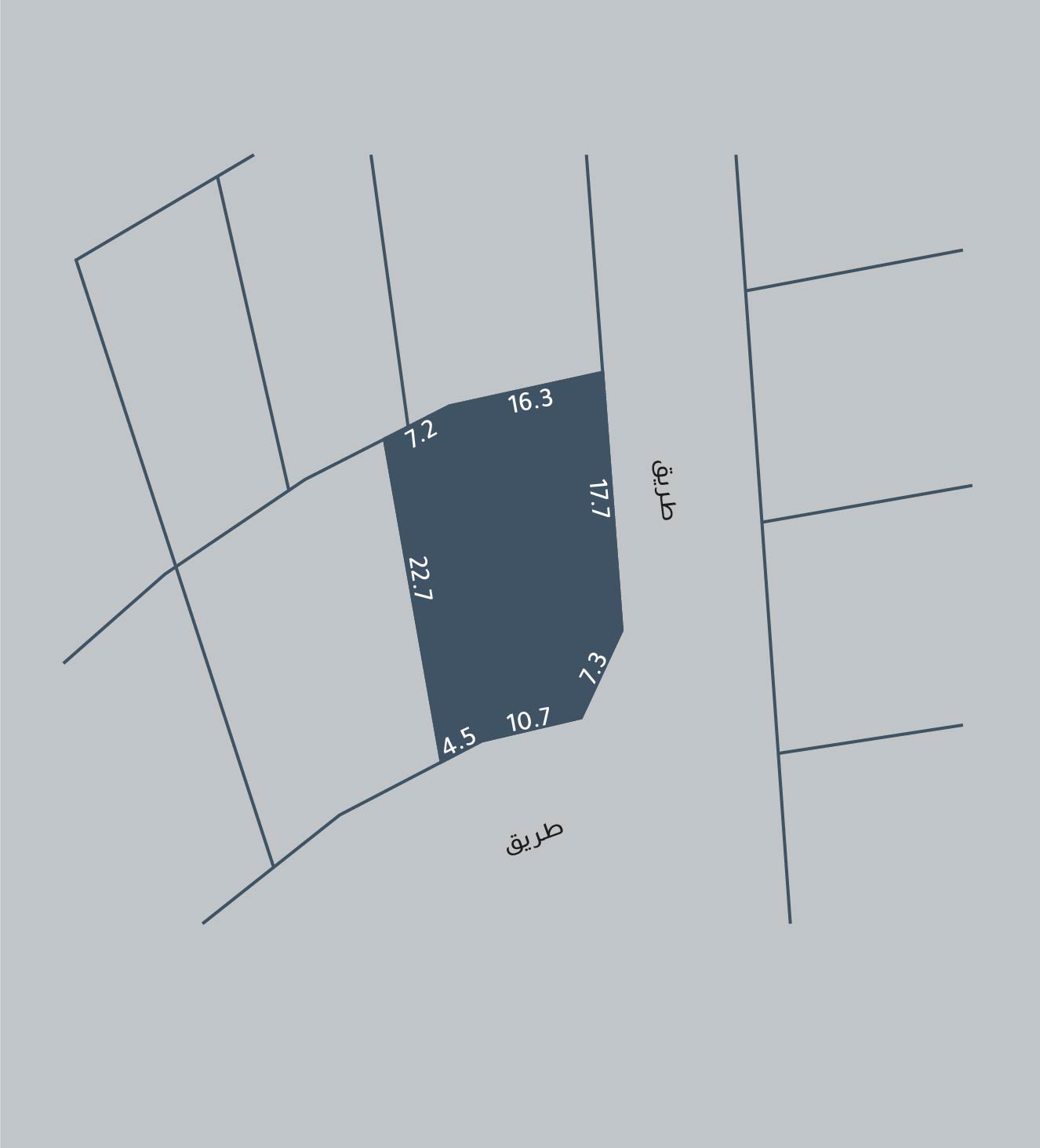 صورة أرض للبيع في الهملة #501 0