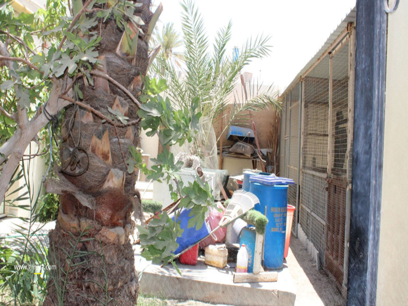 صورة فيلا للبيع في البديع #5964 1