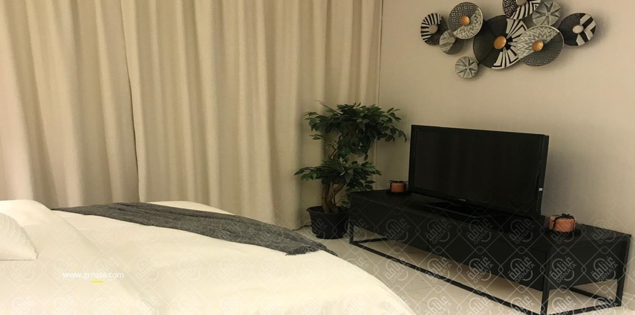 Studio Apartment for Sale in Bahrain Bay Image #7460 5