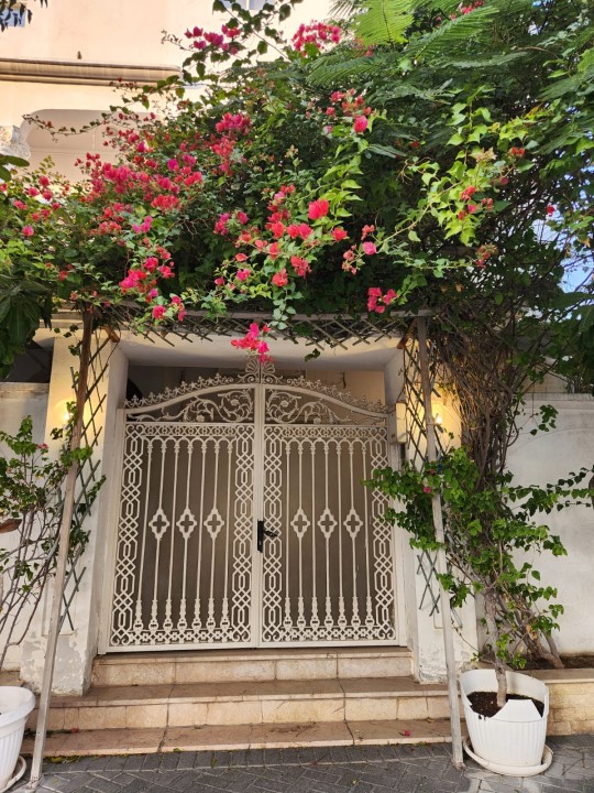 Villa for Sale in Galali Image #7520 2