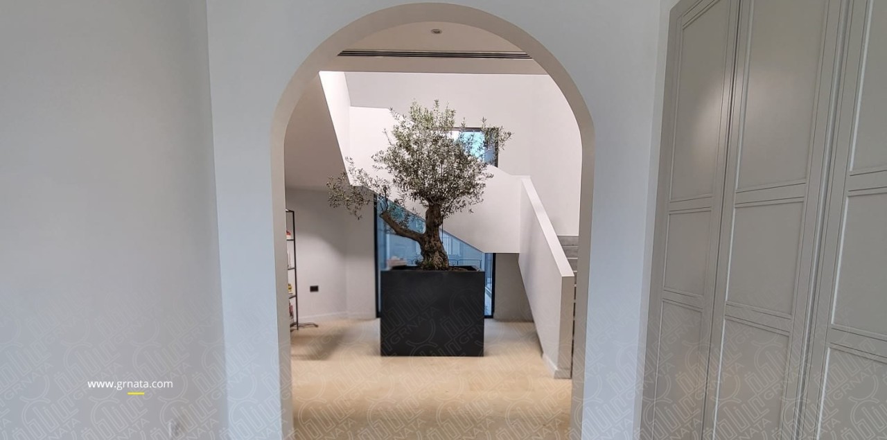 Villa for Rent in Bu Asheera Image #8971 5